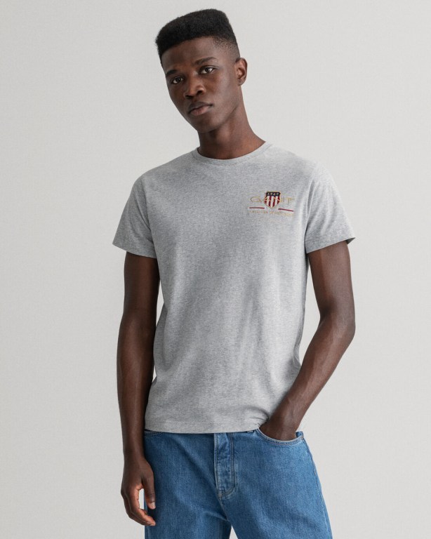 Gant Archive Shield Embroidery Men's T-shirts Grey | 9ZzNzShnH8e