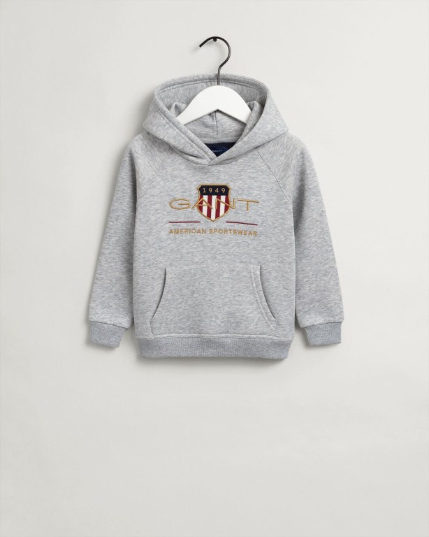 Gant Archive Shield Kids' Hoodies Light Grey | mqDBf5BXVHz