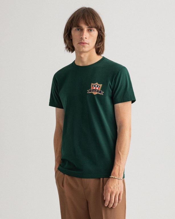 Gant Banner Shield Men's T-shirts Brown Green | EbVZGlo9b52