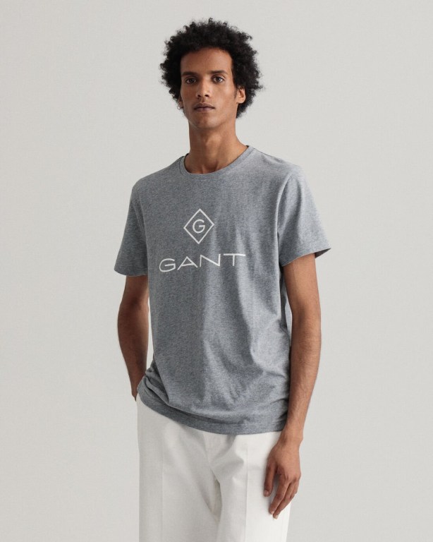 Gant Logo Men's T-shirts Grey | 3CNzn87RTOj