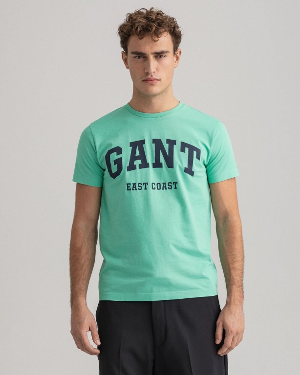 Gant Logo Men's T-shirts Mint | 1UOIDTxd29l