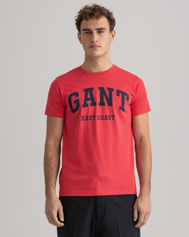 Gant Logo Men's T-shirts Pink | 1h9ge9Eg82c