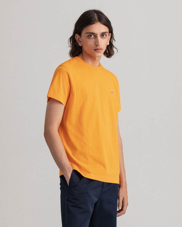 Gant Original Men's T-shirts Orange | OmxQkjlGhZ6