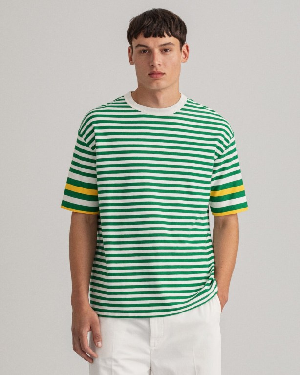 Gant Rough Weather Striped Men's T-shirts Green | Hv4ahdXq9aH