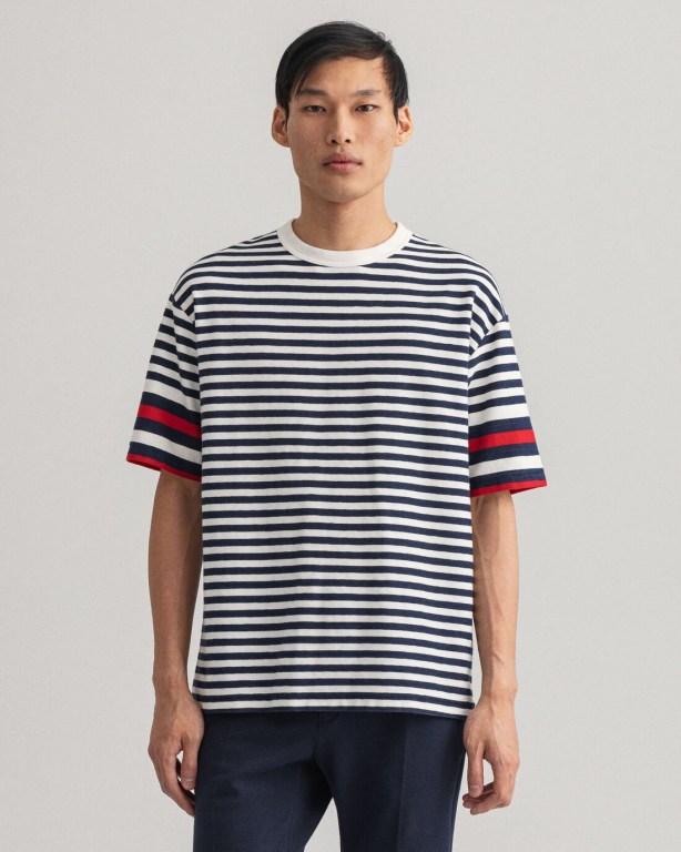 Gant Rough Weather Striped Men's T-shirts Blue | RWfLrO0ULdT