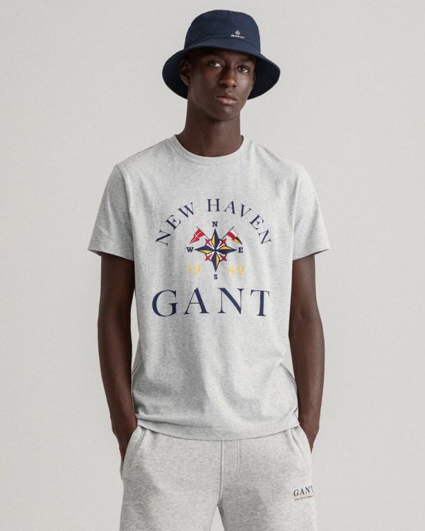 Gant Sailing Print Men's T-shirts Light Grey | wSNWDGuILDl