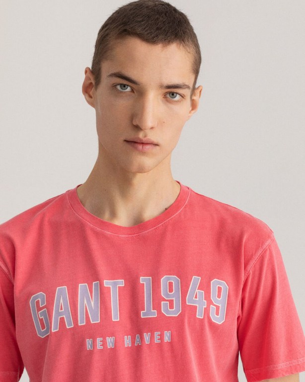 Gant 1949 Men's T-shirts Pink | 53mwETtGAmQ