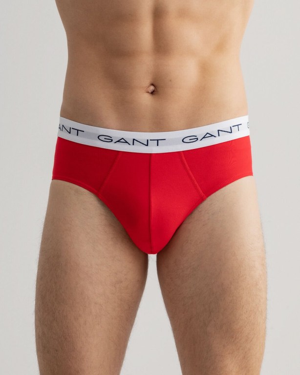 Gant 3-Pack Briefs Men's Underwear Multicolor | PmlYQpJolzz