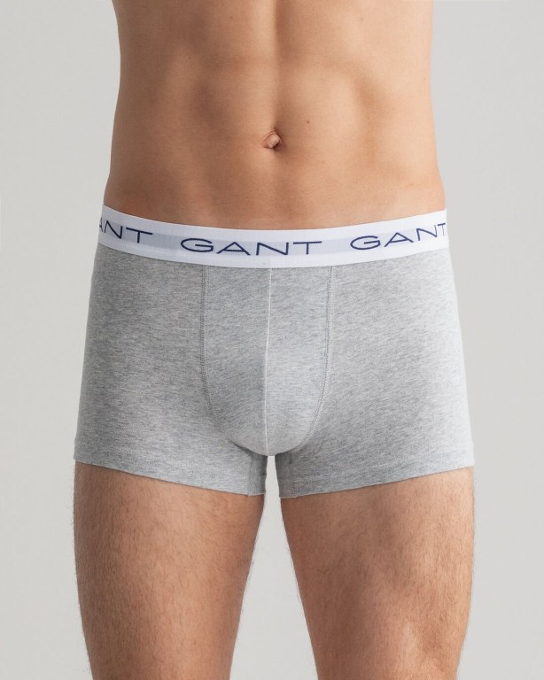 Gant 3-Pack Iconic G Trunks Men's Underwear Light Grey | 9PFqdod3MKJ