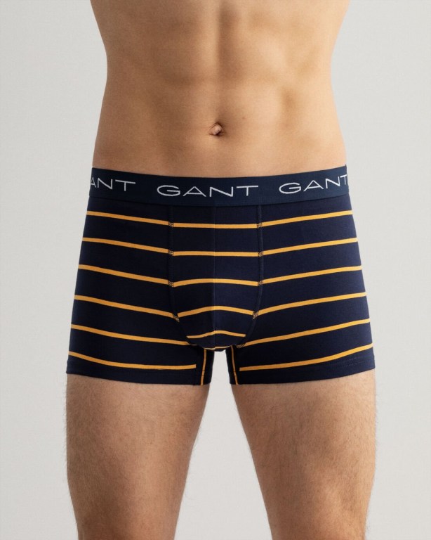 Gant 3-Pack Stripe Trunks with Gift Box Men's Underwear Blue | XkVnLloc1PS