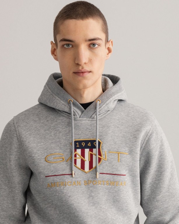 Gant Archive Shield Men's Hoodies Grey | sGPxLz8KDa1