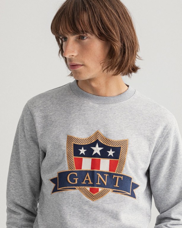 Gant Banner Shield Crew Neck Men's Sweatshirts Grey | cVZr7p4socG