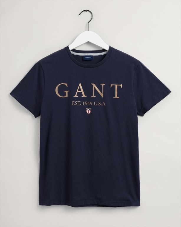 Gant Banner Shield Graphic Men's T-shirts Blue | CtjRokhxHlE