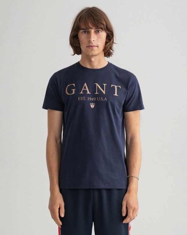 Gant Banner Shield Graphic Men\'s T-shirts Blue | CtjRokhxHlE