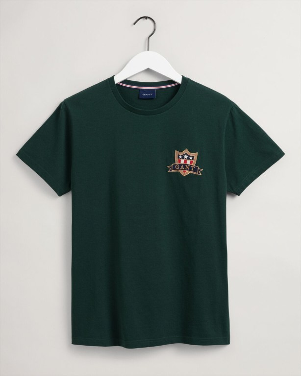 Gant Banner Shield Men's T-shirts Brown Green | EbVZGlo9b52