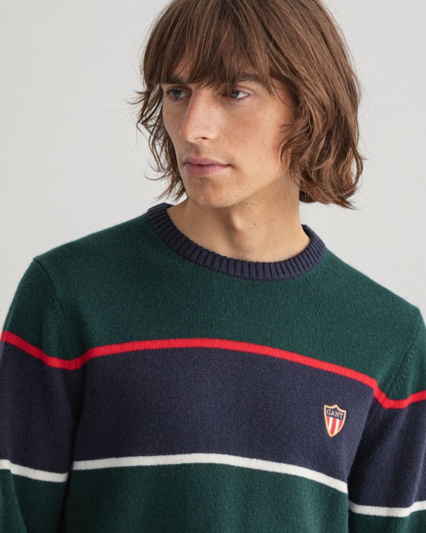 Gant Banner Shield Striped Crew Neck Men's Crewneck Jumpers Brown Green | nPcuwQKqiM6