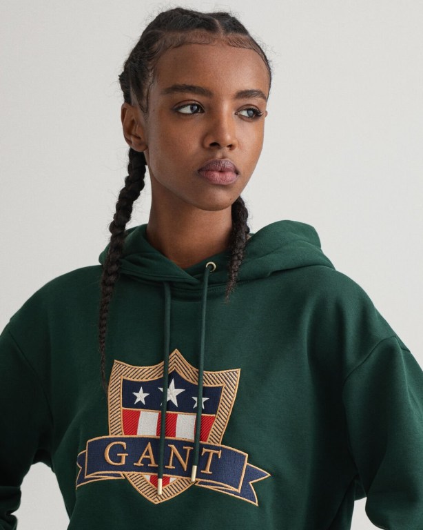 Gant Banner Shield Women's Hoodies Brown Green | 9JWtaHsmybx