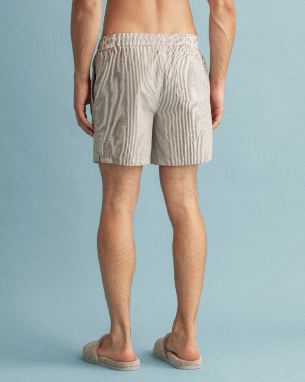 Gant Classic Fit Seersucker Men's Swim Shorts Green | mcWrIRigR9f