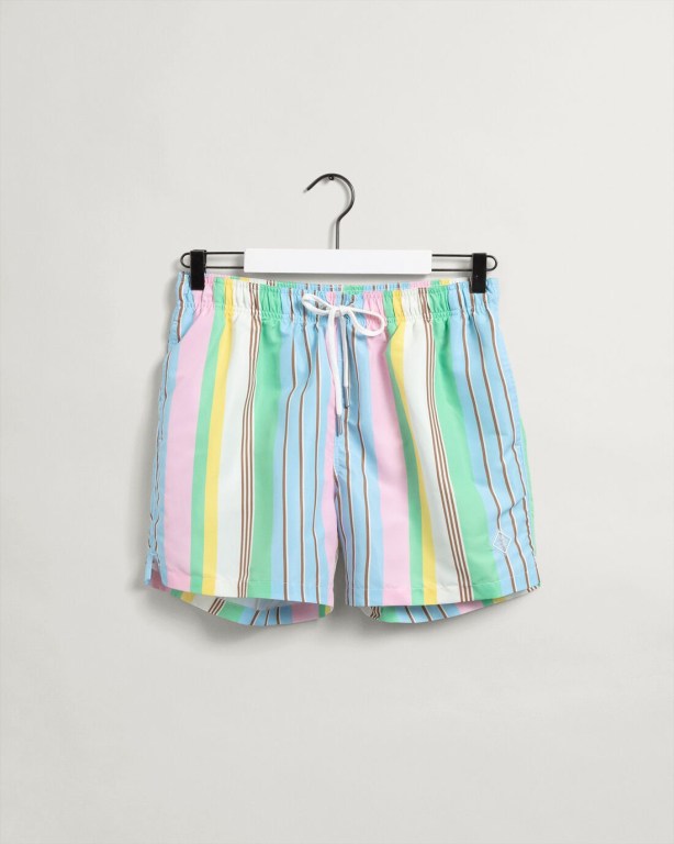 Gant Classic Fit Stripe Print Men's Swim Shorts Pink | 2N3ubtQPV5u