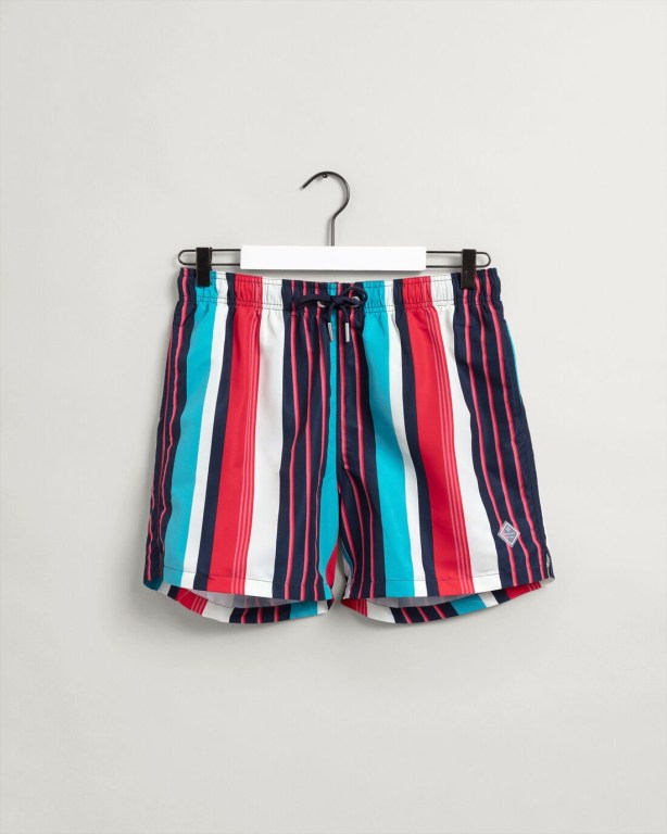 Gant Classic Fit Stripe Print Men's Swim Shorts Turquoise | n0EqtXZRFHI