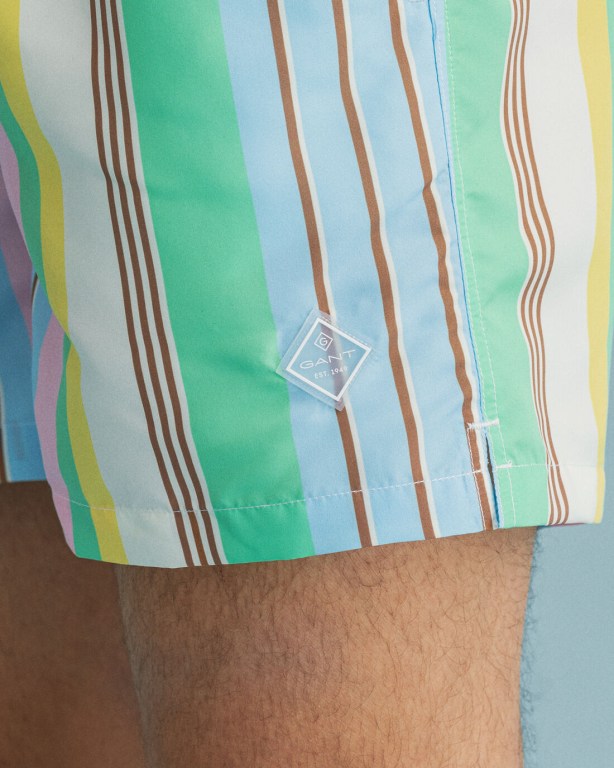 Gant Classic Fit Stripe Print Swim Men's Shorts Pink | ENlSXAFc7Nl