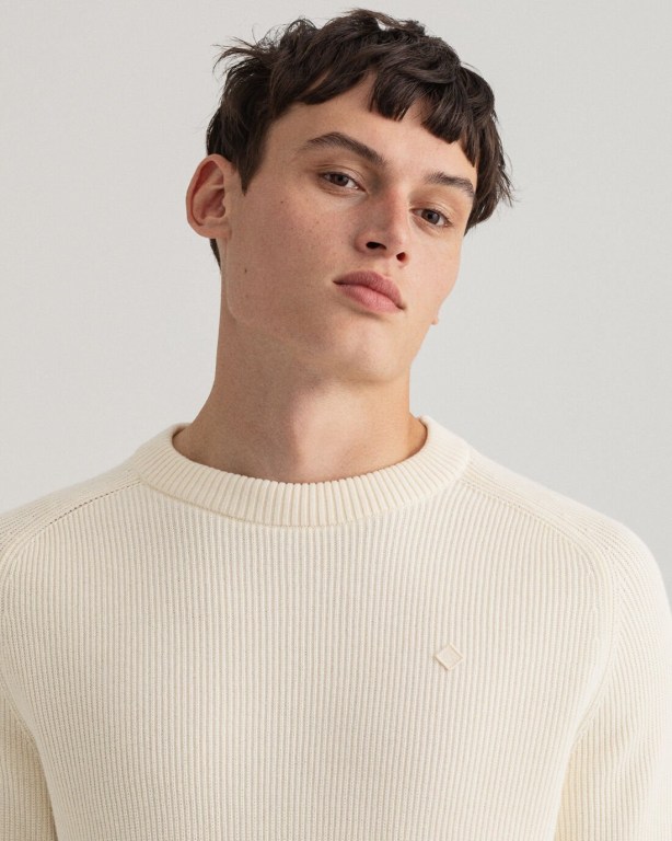 Gant Cotton Rib Crew Neck Men's Crewneck Jumpers White | VD5cC71w6iT