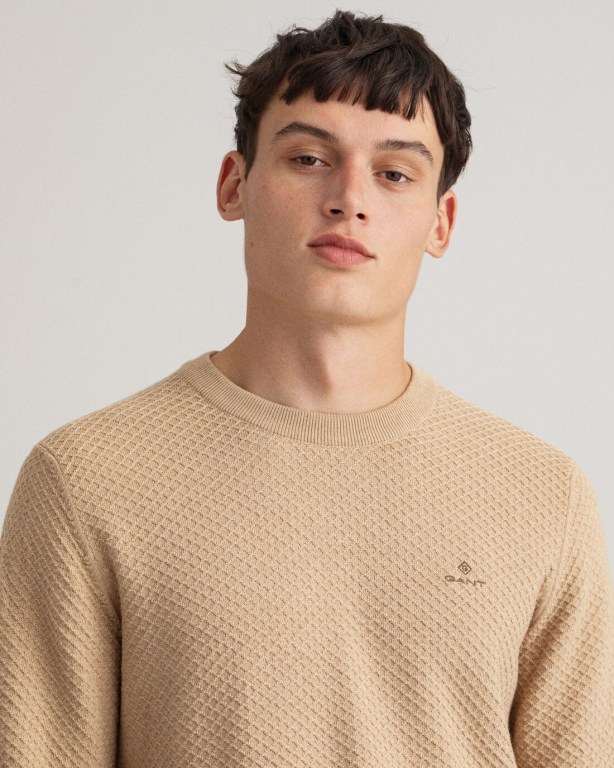 Gant Cotton Texture Crew Neck Men's Crewneck Jumpers Brown | QfDJyXjR6c2