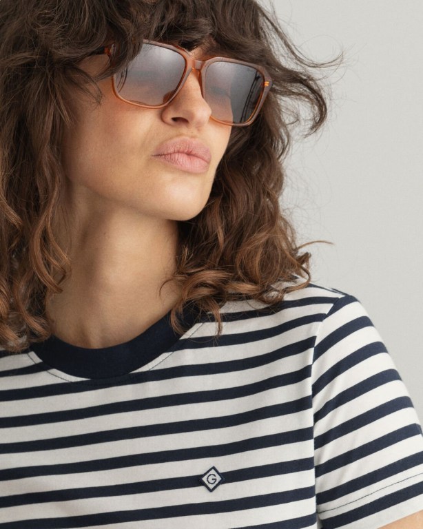 Gant Icon G Striped Women's T-shirts Blue | wQP2NOOgSPm