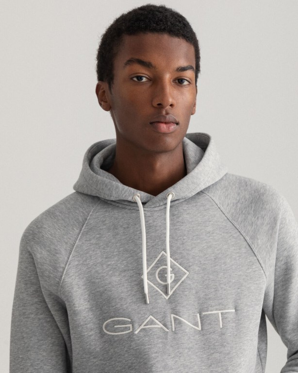 Gant Logo Men's Hoodies Grey | 6GmlbWDDIsz