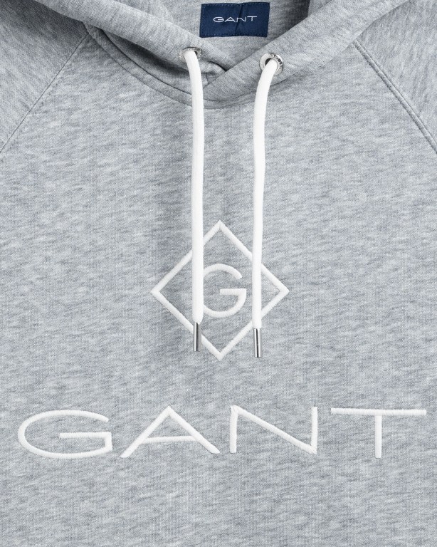 Gant Logo Men's Hoodies Grey | 6GmlbWDDIsz