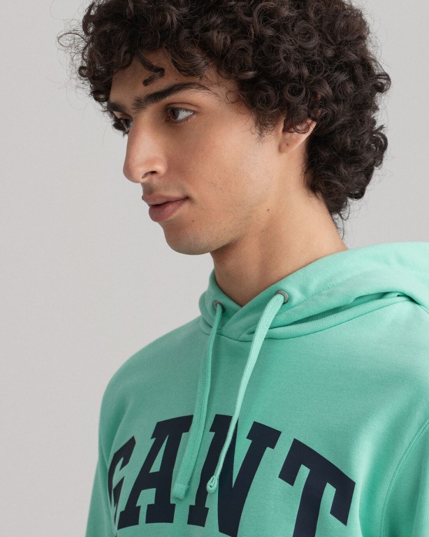 Gant Logo Men's Hoodies Mint | uyvbECm0eGl