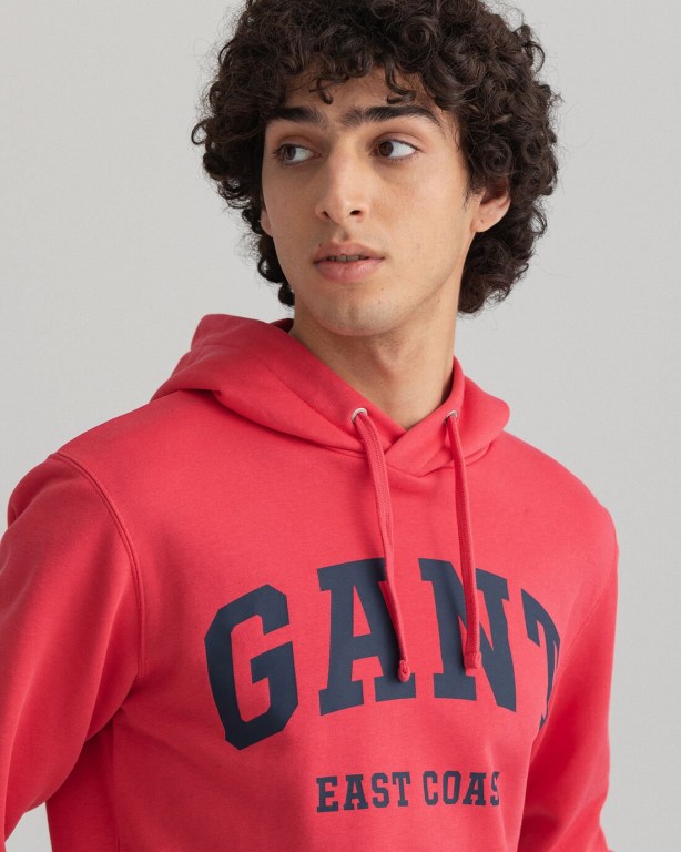 Gant Logo Men's Hoodies Pink | 5eUJHRSh2tu