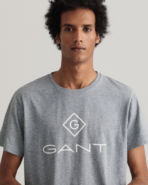 Gant Logo Men's T-shirts Grey | 3CNzn87RTOj