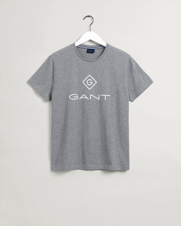 Gant Logo Men's T-shirts Grey | 3CNzn87RTOj