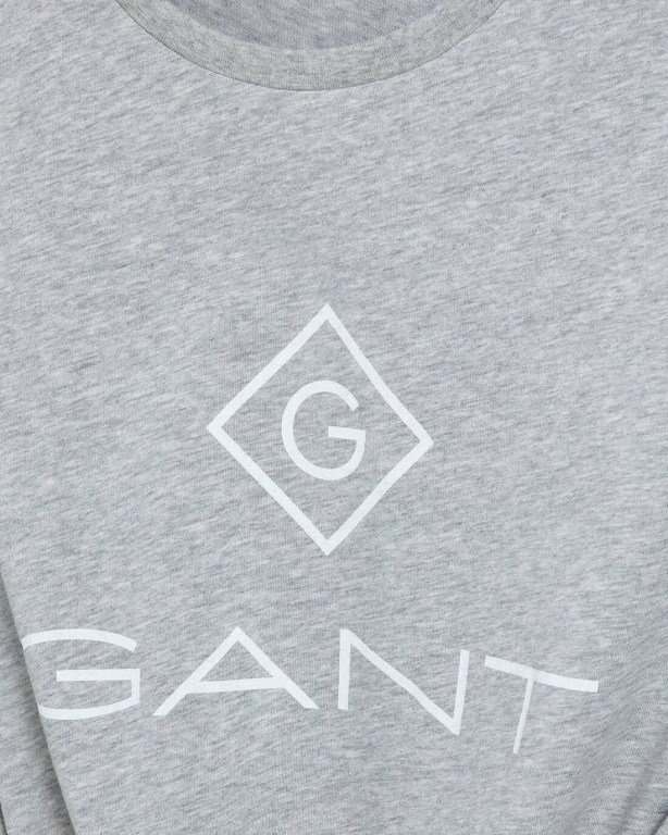 Gant Logo Men's T-shirts Grey | 3CNzn87RTOj