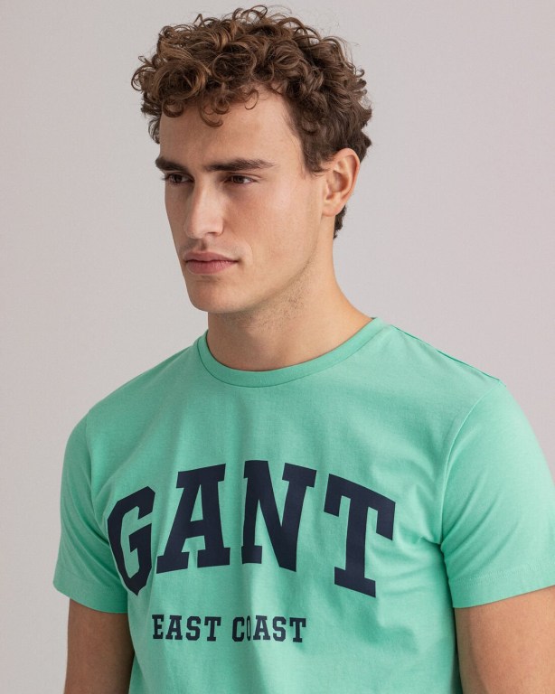 Gant Logo Men's T-shirts Mint | 1UOIDTxd29l