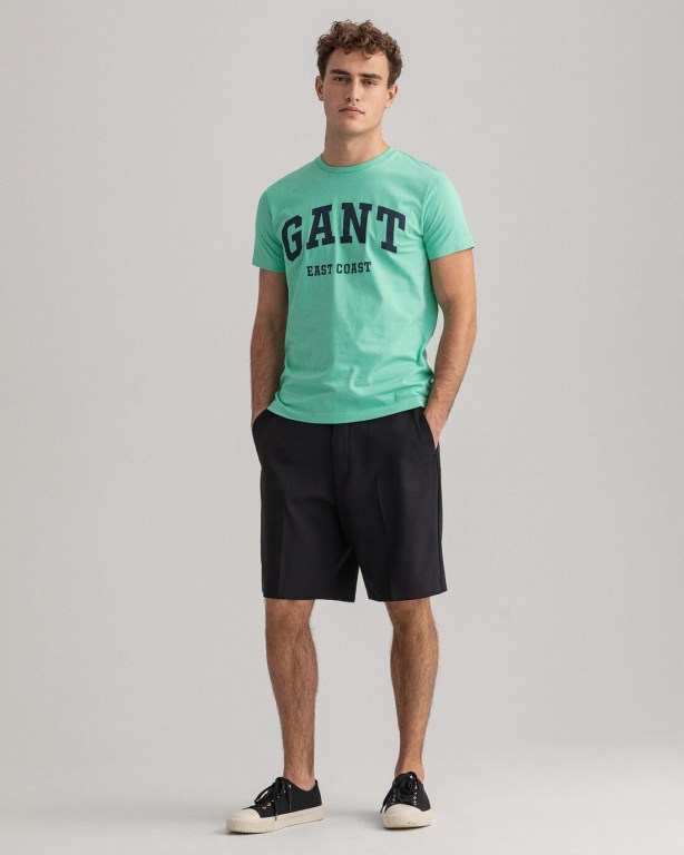 Gant Logo Men's T-shirts Mint | 1UOIDTxd29l