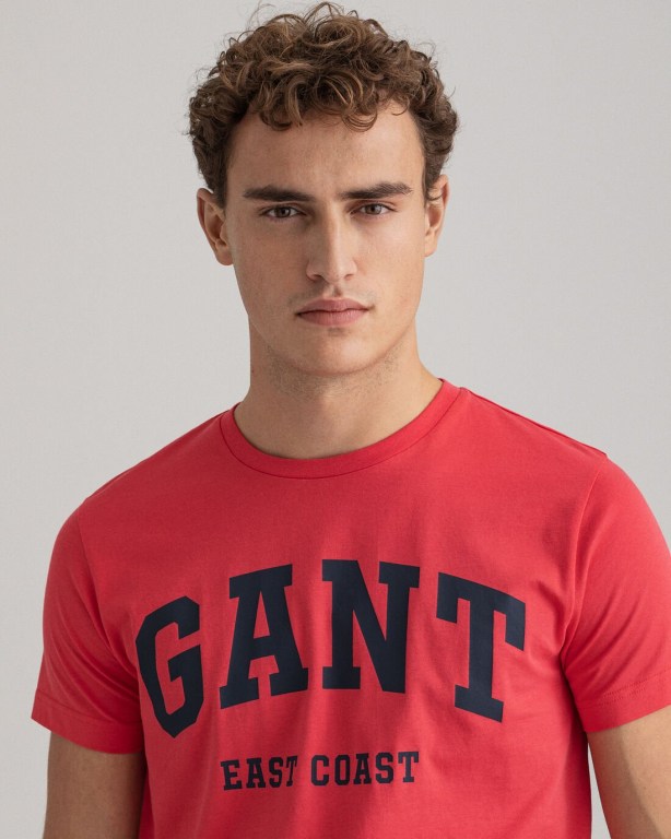 Gant Logo Men's T-shirts Pink | 1h9ge9Eg82c