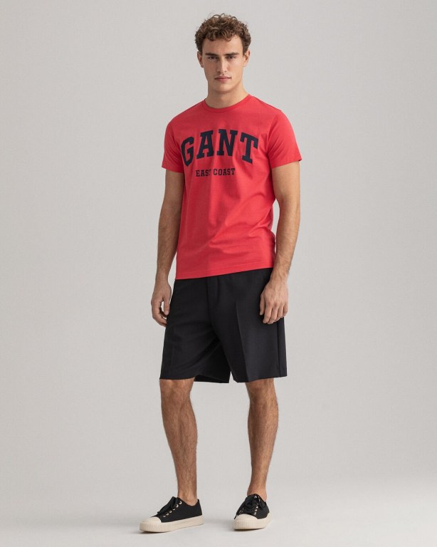 Gant Logo Men's T-shirts Pink | 1h9ge9Eg82c