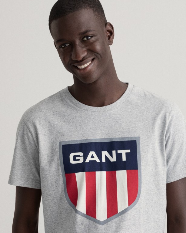 Gant Retro Shield Men's T-shirts Grey | GjTm0iUMCE6