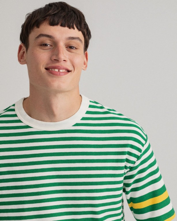 Gant Rough Weather Striped Men's T-shirts Green | Hv4ahdXq9aH