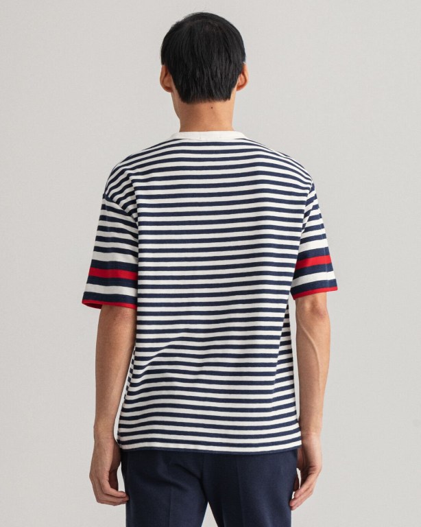 Gant Rough Weather Striped Men's T-shirts Blue | RWfLrO0ULdT