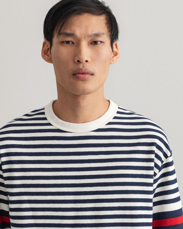 Gant Rough Weather Striped Men's T-shirts Blue | RWfLrO0ULdT