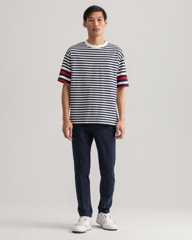 Gant Rough Weather Striped Men's T-shirts Blue | RWfLrO0ULdT