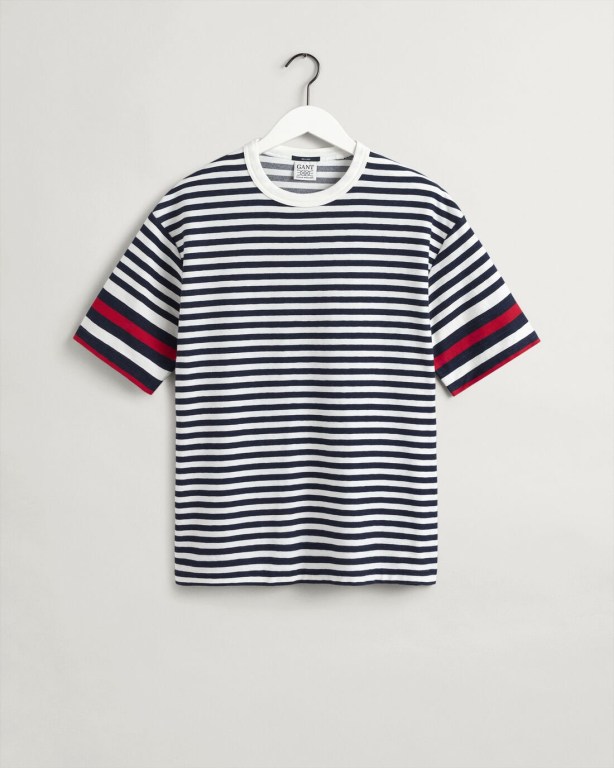 Gant Rough Weather Striped Men's T-shirts Blue | RWfLrO0ULdT