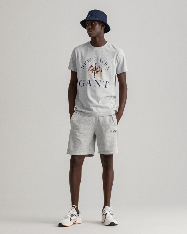 Gant Sailing Print Men's T-shirts Light Grey | wSNWDGuILDl