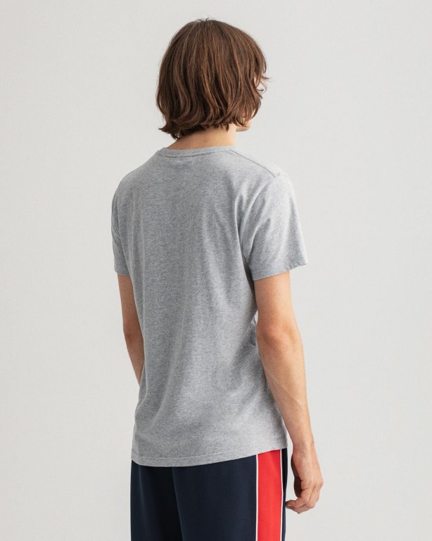 Gant Tiger Men's T-shirts Grey | 7HzX4TfzfzG