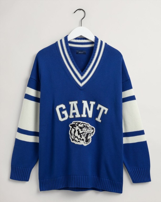 Gant Tiger Men's V-neck Jumpers Blue | qwMjhJ6cnrJ